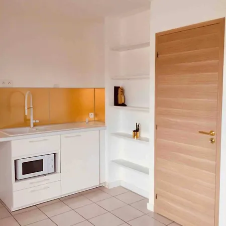 Logement Prive De Standing - Climatise Moyen Et Long Sejour * Montpellier
